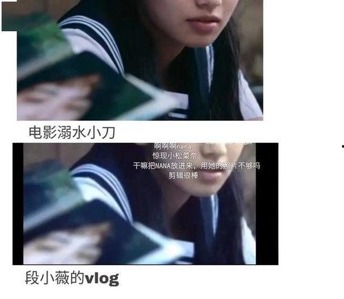 娱乐圈吃瓜系统小说,瓜田里的明星秘闻