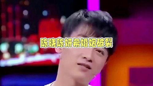 娱乐陈晓吃瓜小说,娱乐圈的甜蜜瓜田