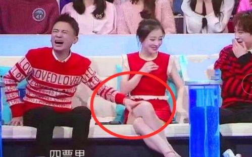 娱乐吃瓜君选秀明星,娱乐吃瓜君带你揭秘娱乐圈的璀璨星途