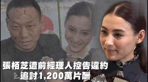 娱乐吃瓜反转,反转再反转，真相竟如此出人意料！