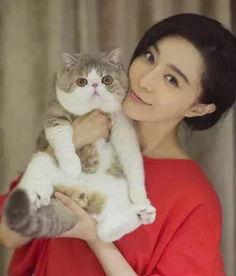 吃瓜少女猫娱乐,揭秘娱乐圈幕后故事