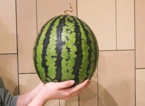 广州市吃瓜娱乐公司地址,探寻都市娱乐新地标