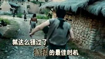 吃瓜娱乐君被告,揭秘娱乐圈背后的法律风云