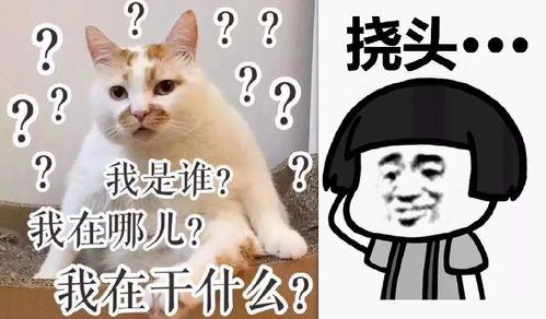 娱乐圈吃瓜爆料李易峰,揭秘明星背后的真相