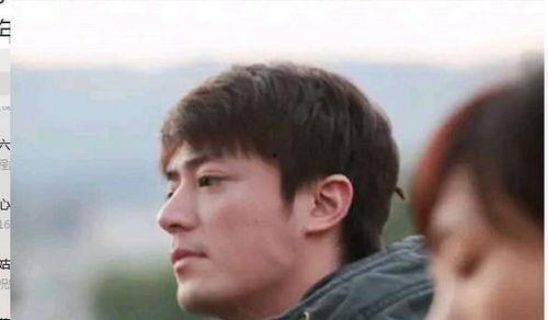 吃瓜群众放过娱乐圈,吃瓜群众呼吁放过，还明星们一片宁静天空