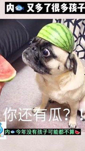 娱乐是个圈吃瓜群众散了,吃瓜群众散场，幕后真相揭晓