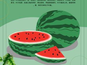 吃瓜娱乐素材图片高清版,娱乐圈幕后趣事大揭秘