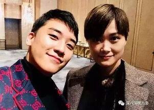 魔幻娱乐圈吃瓜,魔幻瓜田里的明星秘闻