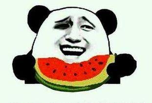 娱乐吃瓜酱伤感语录大全